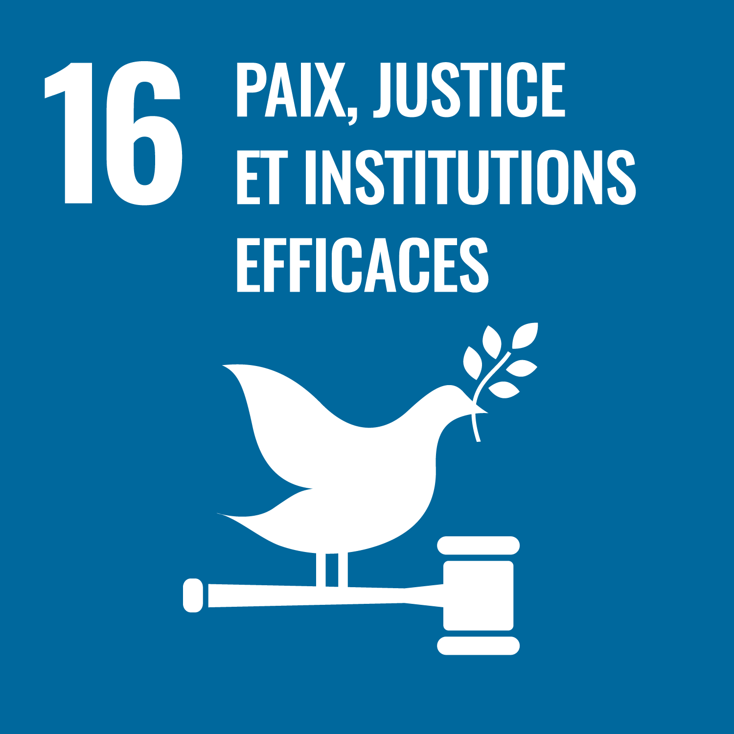 Piax, Justice et Institutions efficaces